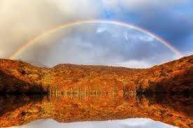 仲人ママのひとりごと（お相手はあなたの心の鏡です）