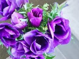 仲人ママのひとりごと(桜の開花ももう目の前、行動しやすい季節となりました)