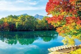 仲人ママのひとりごと（本当の夫婦）