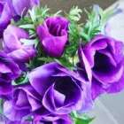 仲人ママのひとりごと（桜の開花ももう目の前、行動しやすい季節となりました）