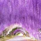 仲人ママのひとりごと（こつこつを積み上げよう）