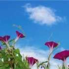 仲人ママのひとりごと（今日たった一つでいいので「前向きな行動」を）
