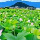 仲人ママのひとりごと（笑顔が一番）